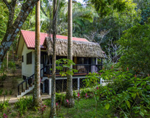 Belize-Interior-Mayan Jungle Ride without Caracol excursion